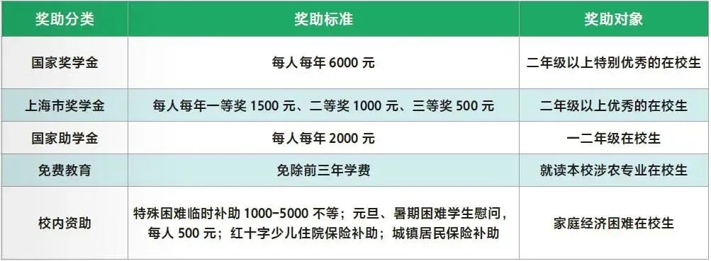 獎(jiǎng)勵(lì)政策體系